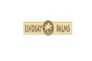 lindsay-palm