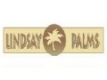 lindsay-palm