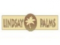 lindsay-palm